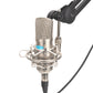 Alctron MC001 Professional Condenser Microphone Condenser Mic for Karaoke Games Recording &amp; Anchors
