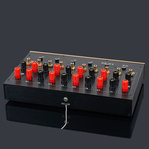 FV6 Multifunctional RCA 4-Channel Audio Switcher Lossless Switching with Power Adapter and Remote Control