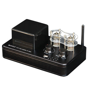 AV300C 220V 60W Electronic Tube Power Amplifier HiFi Audio Wireless Bluetooth5.0 with Headphone Amplifier