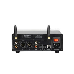 PAIYON Silvery DPA-1 Full-function Version Digital Turntable Audio Player Lossless Decoder with Balanced and RCA Output