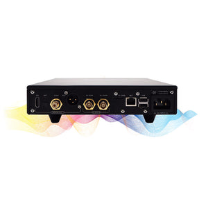 Denafrips Black ARCE Network Music Player Streaming Media Digital Player UPOCC O-type Core Transformer Support USB/SD Card/NAS