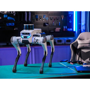 YUNSHENCHU Lite 3 Basic Version Bionic Quadruped Robot Dog High Driving Force 5KM Range Smart Dog