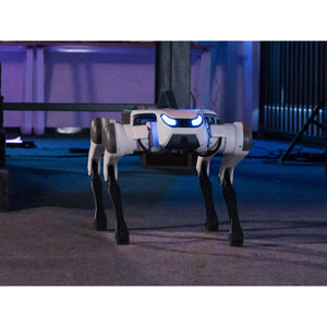 YUNSHENCHU Lite 3P Professional Version Bionic Quadruped Robot Dog High Driving Force Smart Dog Support Identify &amp; Following