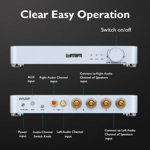 W520P HiFi Stereo Class D 80Wx2 Digital Power Amplifier TDA8920CTH Amplifier IC Support Differential Input