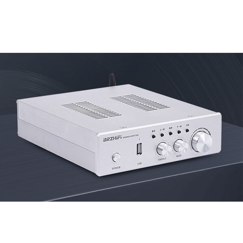 BRZHIFI PA-ir600 HiFi Audio Amplifier Golden-sealed Field Effect MOS Tube Class D Digital Power Amplifier 250W+250W