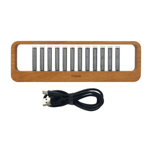 D'ESIGN 12BITS RGB Music Spectrum Display Pseudo Glow Tube Rhythm Light Punk Gift with Beech Shell