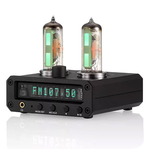 P2-FM Headphone Amplifier 6E2 Electronic Tube Level Meter Si4730 FM Radio Receiver + VFD Clock