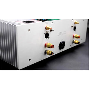 Transaudio D9PRO 150W/8Ω 300W/4Ω Power Amplifier Power Amp (Silver) Based on Circuit for DarTZeel