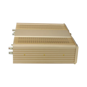 Gold Version FM300A 2-Channel Power Amplifier Replacement for FM ACOUSTIC FM300A Classic Amplifier