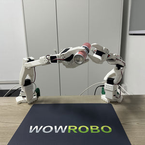 SO-ARM100 Embodied Intelligent Robotic Arm (SO-100 Assembled Standard 1 Master Arm + 1 Slave Arm)