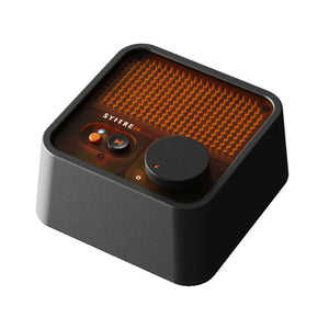 Syitren Black N100 Bluetooth Speaker for Syitren USB Type-C Portable Bluetooth Speaker Support AUX Input