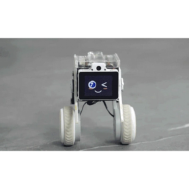 Rider-Pi Desktop Two Wheel-Legged Robot Self-Balancing Robot Dog with 5MP Camera and Raspberry Pi CM4
