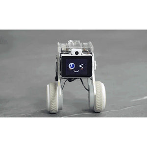 Rider-Pi Desktop Two Wheel-Legged Robot Self-Balancing Robot Dog with 5MP Camera and Raspberry Pi CM4