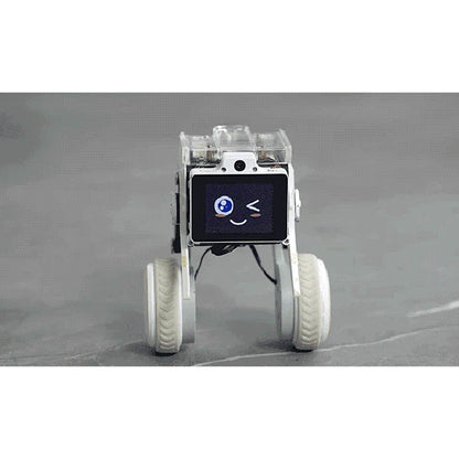 Rider-Pi Desktop Two Wheel-Legged Robot Self-Balancing Robot Dog with 5MP Camera and Raspberry Pi CM4