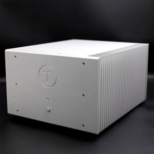 500W 8Ω Mono Amplifier Hi-End Fully Balanced Power Amplifier (T11PRO Standard Version Silver)