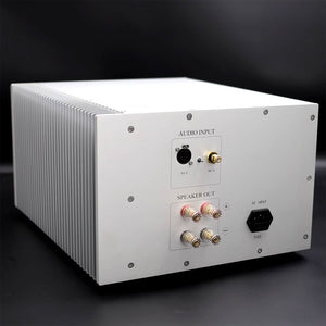 500W 8Ω Mono Amplifier Hi-End Fully Balanced Power Amplifier (T11PRO Standard Version Silver)