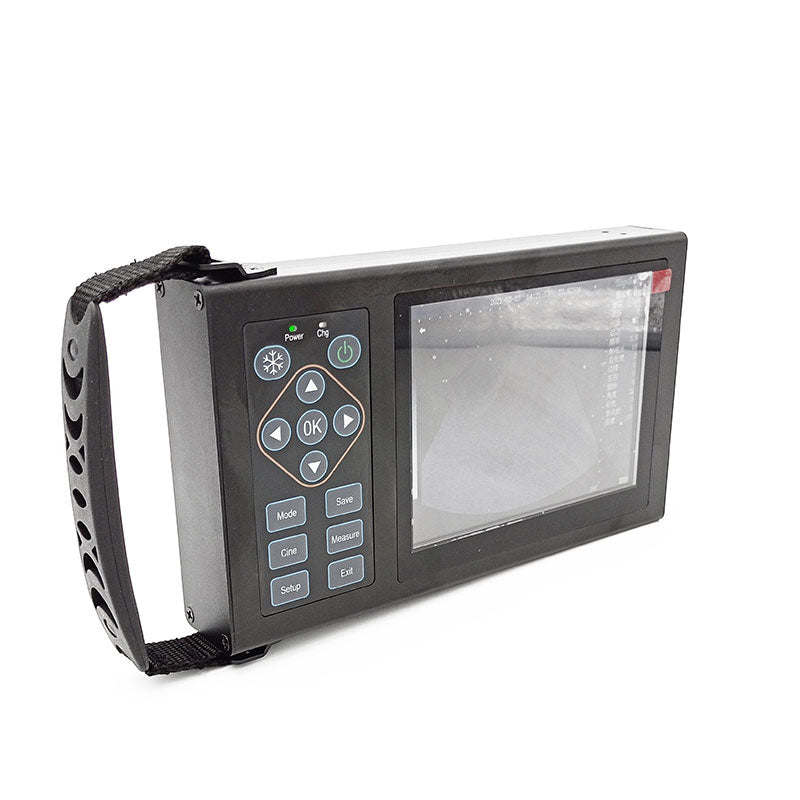 M10 + Mechanical Probe Ultrasonic Diagnostic Instrument Veterinary B-ultrasound Fast Backfat Function