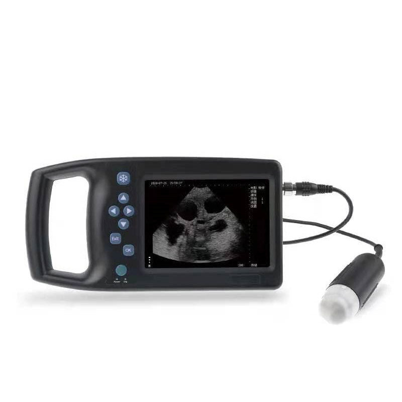 M6 Mechanical Fan Scan Veterinary Ultrasonic Diagnostic Instrument Support Probe Preheating with 5.7-inch UHD LCD