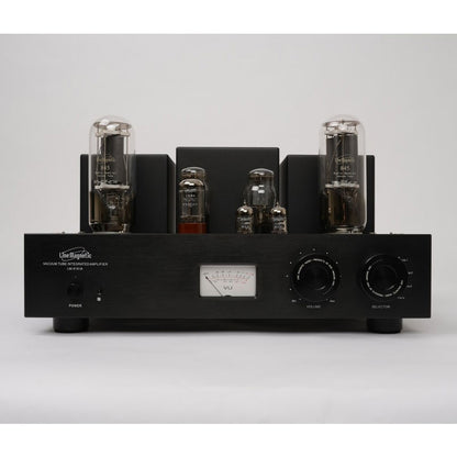 LM-518 IA Electronic Tube Amplifier 845 Vacuum Tube Amplifier 22W+22W Single-ended Class A Power Amplifier 230A
