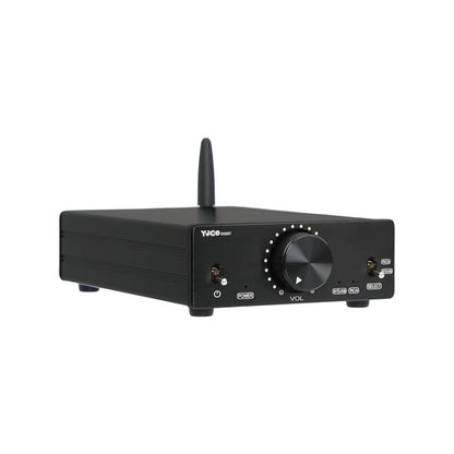 D325T TPA3255 Portable Power Amplifier Bluetooth5.4 300Wx2 High Power Audio Amplifier with Power Adapter