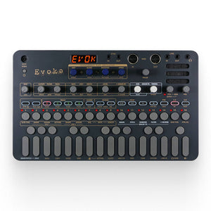 Original LIVEN Evoke Acoustronic Synthesizer Ambient Synthesizer with Granular Effect for Sonicware
