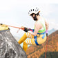 Blue High Strength Polyester Seat-type Safety Belt Outdoor Fast Drop Climbing Waist Protection Belt