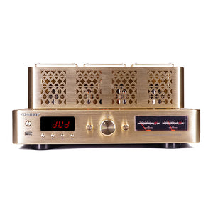 Golden AV399 HiFi Electronic Tube Amplifier 200W+200W High Power Bluetooth5.0 Vacuum Tube Power Amplifier