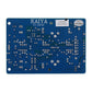 Dual Channel Stereo Balanced Input Gain BTL Bridging HiFi Preamplifier Board with 4558D Operational Amplifier