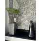 Bang &amp; Olufsen Beosound 2 3rd Gen — Wireless Desktop Speaker Bluetooth Speaker (Black) for Home Use