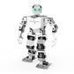 Hiwonder Tonybot 17DOF Humanoid Robot (Standard Version without Vision Module) for Programming