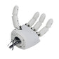 AmazingHand 8DOF 3D Printed Robotic Hand Mechanical Hand (Left-Handed, Feetech Serial Motors)