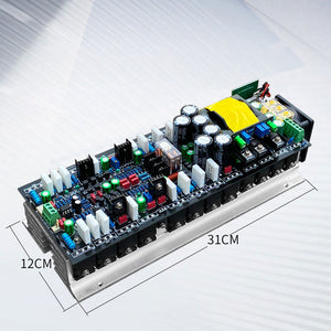 12V 1200W High Power Amplifier Board Supports BTL Bridge Mode &amp; Dual Auxiliary Power Output
