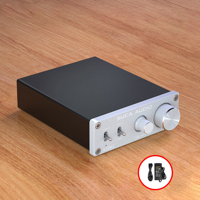 Silvery A1001 Mono AV Home Theater 2.1/5.1 Subwoofer Digital Power Amplifier with DC24V Power Adapter