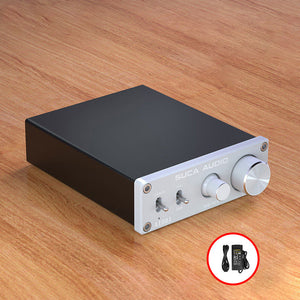 Silvery A1001 Mono AV Home Theater 2.1/5.1 Subwoofer Digital Power Amplifier with DC24V Power Adapter