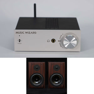 Music Wizard V8S 8-Inch Passive Bookshelf Speakers for HiFi Home Desktop Theater + P100S Headphone Amp