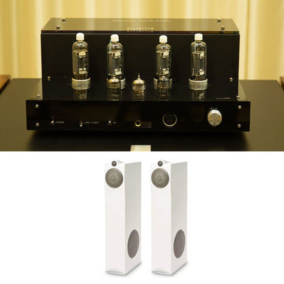 Music Wizard TP13 Push-Pull Tube Amplifier + Original OCTAVE 6 Limited Edition Floor-Standing Speakers