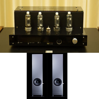 Music Wizard TP13 Push-Pull Tube Amplifier Tube Amp + Silent Valley S8 3-Way Floor-Standing Speakers