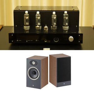 Music Wizard TP13 Push-Pull Tube Amplifier 6P13 Integrated Amplifier + N°1 Bookshelf Speaker