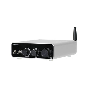 Silvery D300B 300Wx2 High Power TPA3255 Dual Channel Digital Power Amplifier HiFi Bluetooth5.4 Support for LDAC