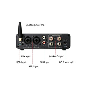 D325Q 300Wx2 High Power Audio Amplifier HiFi Multifunctional Bluetooth5.4 Digital Power Amplifier TPA3255