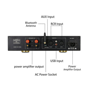 LM386 PRO Multifunctional Bluetooth5.4 Power Amplifier LM3886x2 HiFi Audio Amplifier Support Remote Control 220V