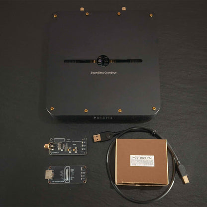Polaris R2R Fully Balanced DAC Dual OCXO Clocks High Precision Audio Decoder 32Bit 768KHz DSD512