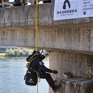 DP-1 110KG Load Electric Rope Ascender High Torque Motor Remote Control Lightweight Outdoor Heavy Weights Lifting