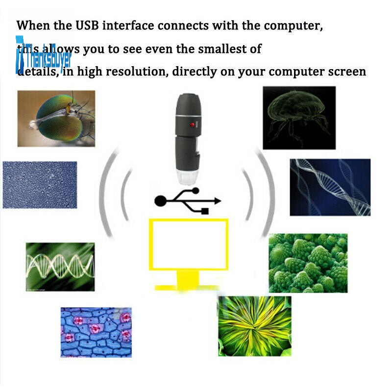 Text watermark