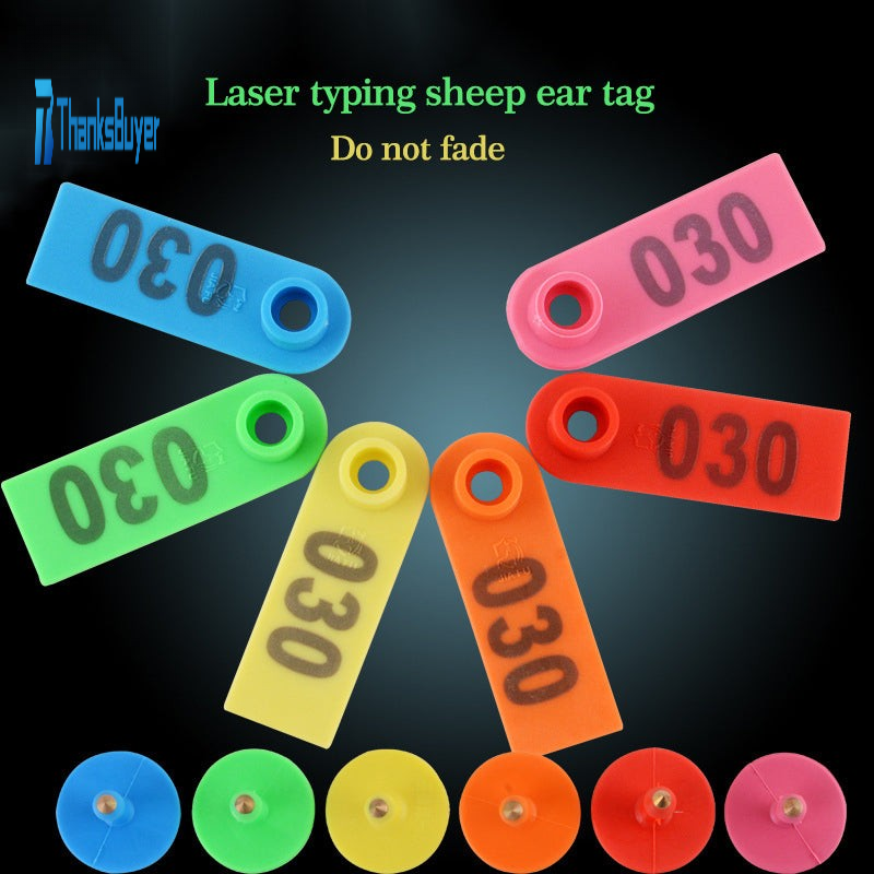 Text watermark