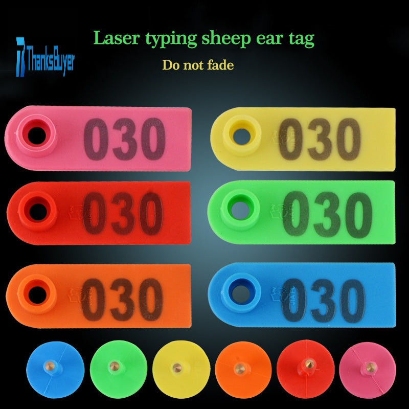 Text watermark