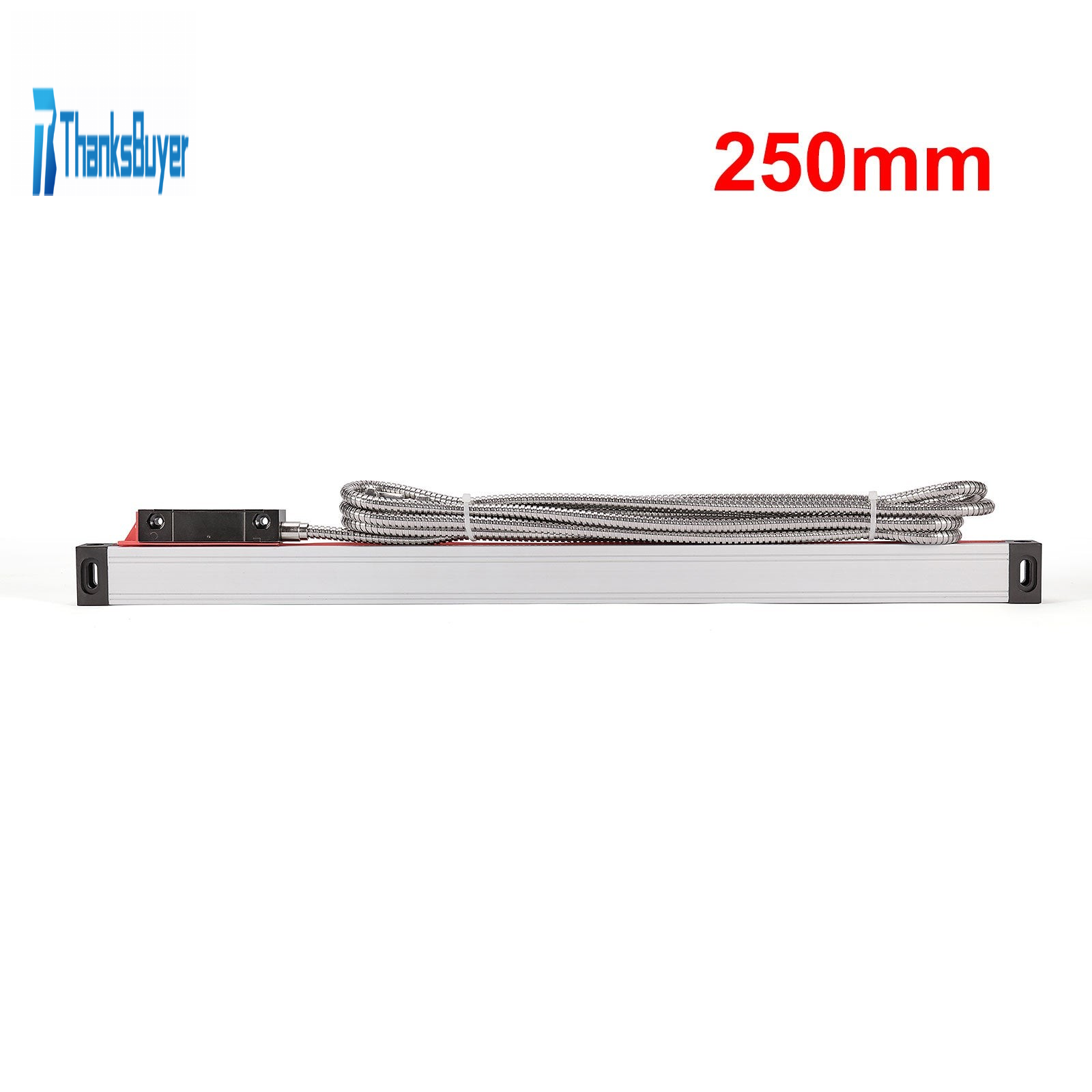 Ptmo Grating Ruler SINO 250MM/9.8