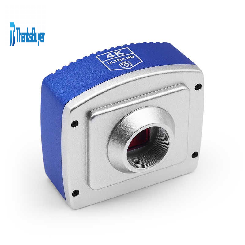 Text watermark