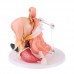 One Piece Princess Shirahoshi Cute Q Figure