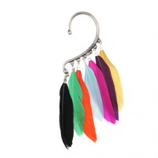 Lady Beautiful Colorful Feather Style Single Earring